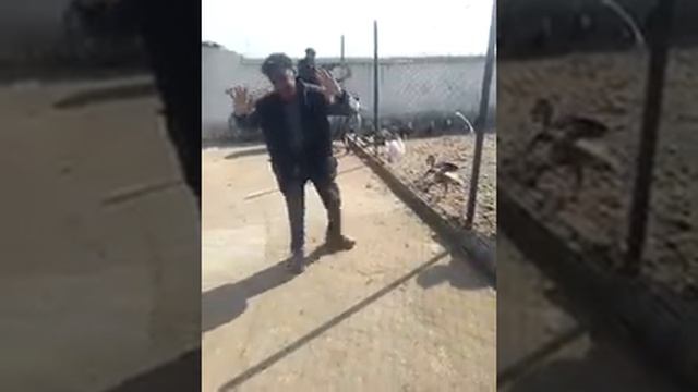 Рекет эшпек сатор смотреть онлайн
