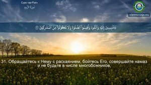 30. _Сура_ ❤️Ар-Рум❤️ Мишари Рашид