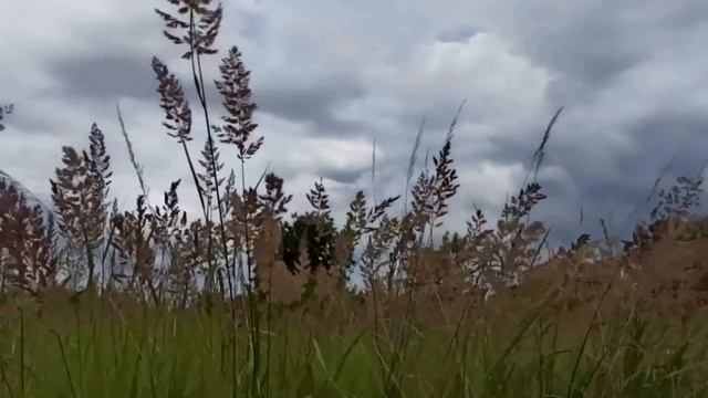 28 июля праздник День Крещения Руси. День Владимира. Народные приметы и традиции. Запреты дня. смотреть онлайн