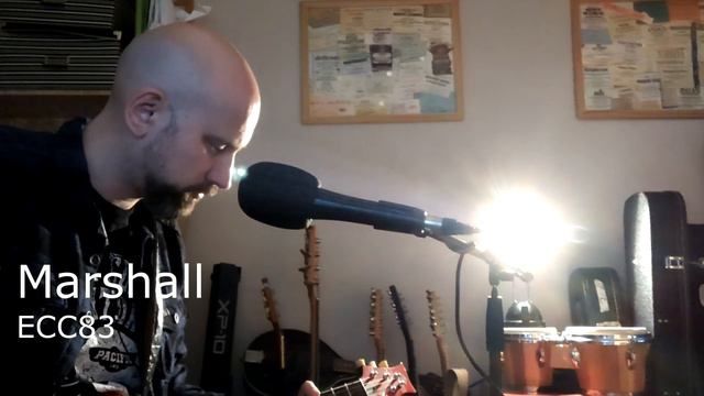 Preamp Tube Comparison / Shootout 12AX7, 5751, 7025, ECC83 - Mesa, JJ, Gold, Marshall And More!