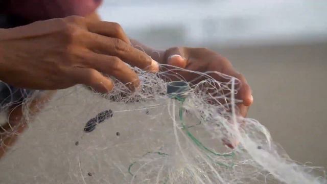 OCEAN Documentary Trailer - Score By Andrew Kirkof смотреть онлайн