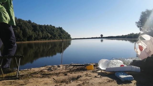 Ловля мирной рыбы с берега! смотреть онлайн