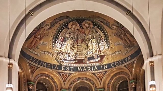 Adventsmusik - Gloria Vivaldi - Auszüge - Aria Domine Deus - St. Marien-Dom Hamburg смотреть онлайн