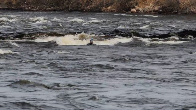 TEST. New camera. Losevo Kiviniemi Koski Лосево Кивиниеми пороги 230415 смотреть онлайн