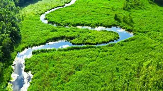 Beautiful Relaxing Music - Stop Overthinking, Stress Relief Music, Sleep Music, Calming Music #48 смотреть онлайн