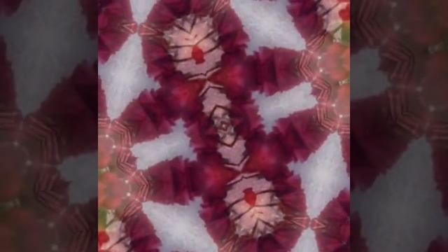 Шамиль Гарданов *Лиана* смотреть онлайн
