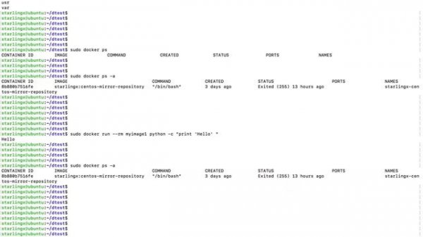 What is the difference between Docker RUN and EXEC commands
