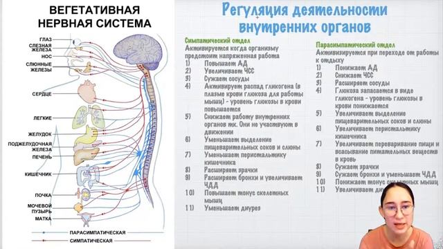 Прямая трансляция пользователя Romwayl смотреть онлайн