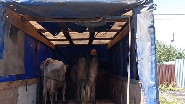 Забытый летний день 22-го. смотреть онлайн