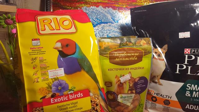 Покупки для животных смотреть онлайн