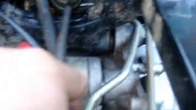 MOV02597 смотреть онлайн