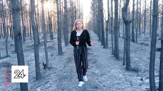 Очевидцы о пожаре в Альметьевском районе: «Метров шесть в высоту горело, практически до проводов» смотреть онлайн