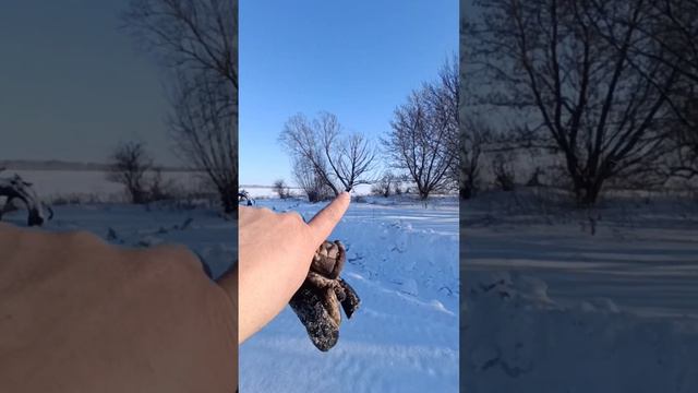 Рыбалка с.Мизинец пруд Верстовский смотреть онлайн