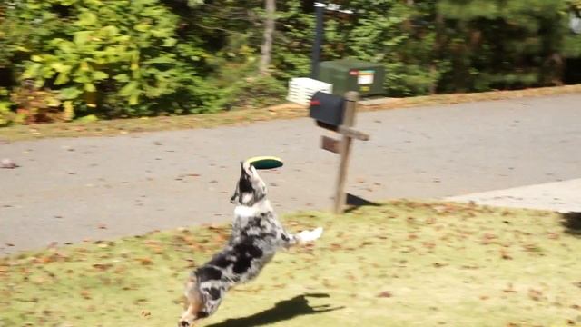 Sony NEX-6 / AVCHD / 24p / sample video смотреть онлайн
