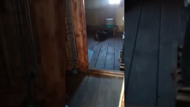 Бесик первый раз на веранде. смотреть онлайн