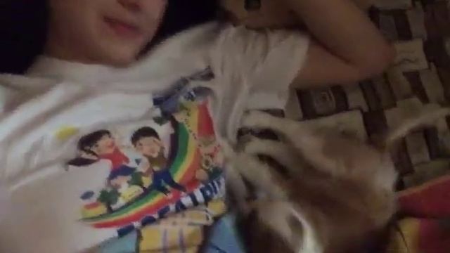 Charles Spaniel VS My Cat. Рафаэль знакомится с котом.