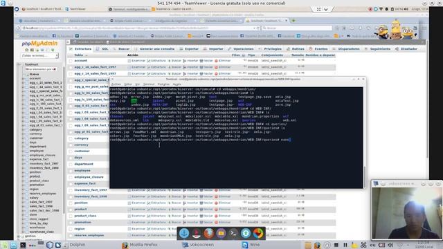 Mondrian Olap - Ubuntu linux - Instalación y ejemplo смотреть онлайн