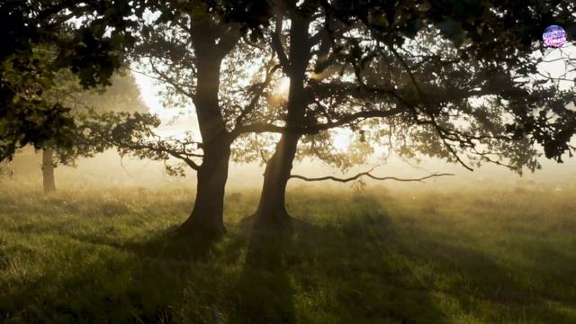Весна! Пробуждение природы / Көктем! Табиғаттың оянуы / Spring! Awakening of nature смотреть онлайн