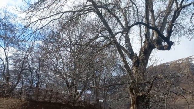 Tajikistan ш вахдат дараи ромит д лошхарф смотреть онлайн