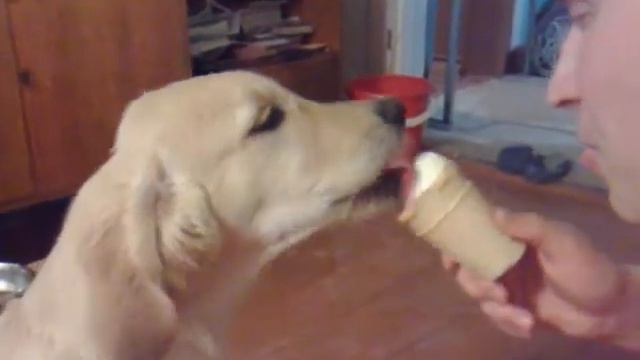 Мороженка, мороженка!!! смотреть онлайн