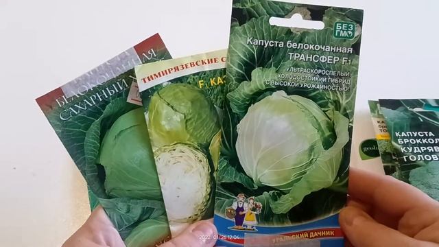 Сорта и гибриды капусты на 2022 г #курскаяобласть, #капустаранняя, #капустапоздняя, #капустаброккол смотреть онлайн