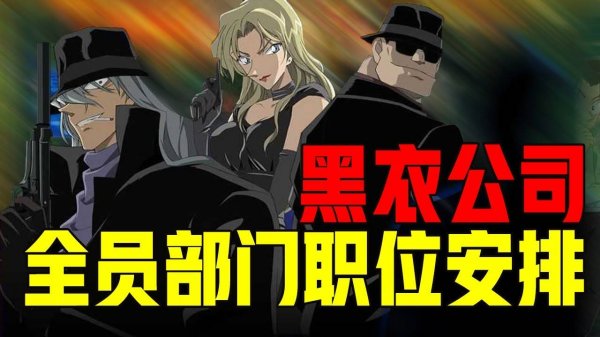 盘点酒厂全员部门等级，琴酒居然和伏特加一个等级！【小脑坑说柯南】