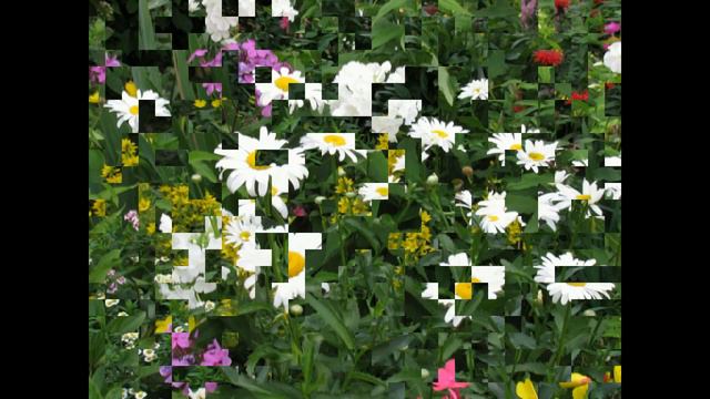 Август 2021г Минск цветы во дворе. смотреть онлайн