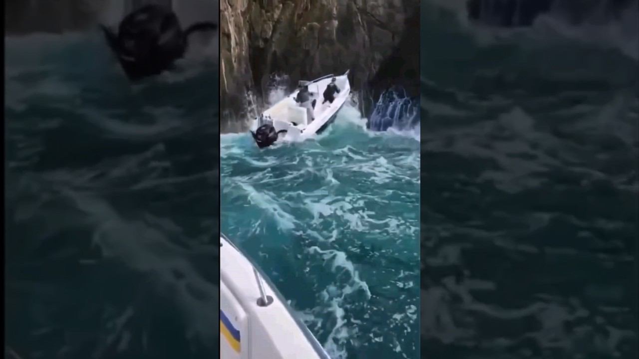 Вот это рыбалка! смотреть онлайн