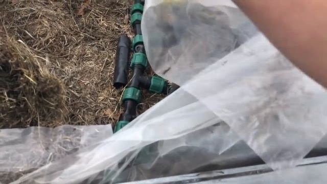 Как ускорить прогрев земли перед посадкой рассады в теплицу? смотреть онлайн