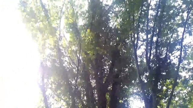 Гамаки в лесу. Отдых в Бетте. смотреть онлайн