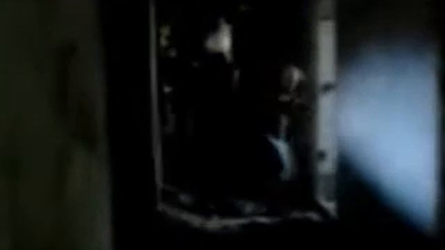 Собака-спасатель. Бигль Горди. Павлоград