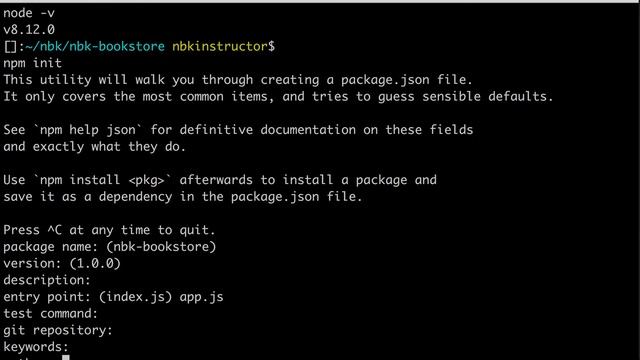 02 Generating the Project with NPM смотреть онлайн