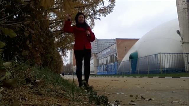 пихта осенью