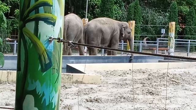 Ростовский зоопарк смотреть онлайн