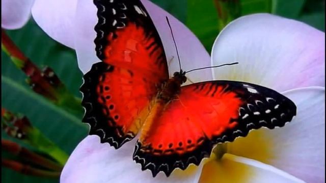 Техника для дома: сделайте свою жизнь лучше