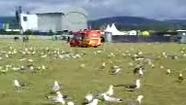 litter pickers at titp 2 смотреть онлайн