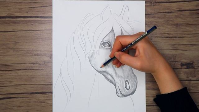 How to Draw a Horse Head Step by Step | Realistic Animal Drawing смотреть онлайн