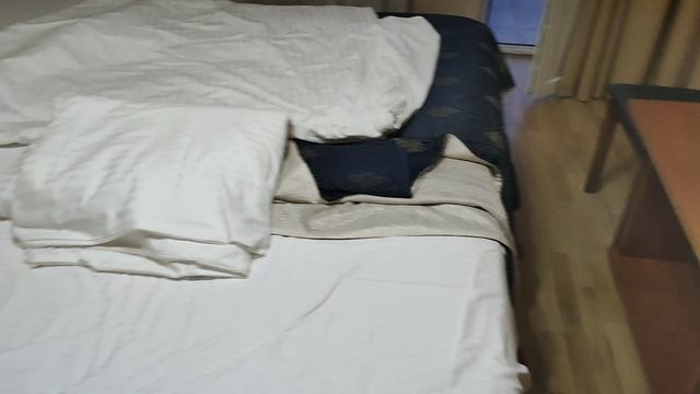 Отель коралл, Сочи, Адлер, обзор