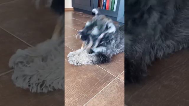 Все видео с тик ток аккаунта Джерри смотреть онлайн