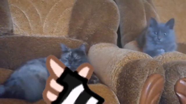 Когда мне скучно я схожу с ума._. смотреть онлайн