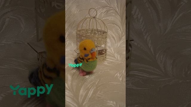 Валяние из шерсти. Попугай.