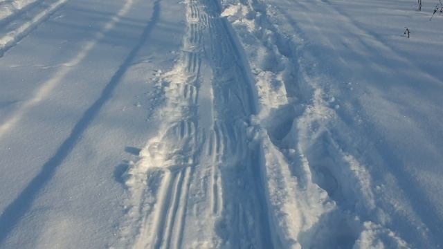 Вышел на тропу БАГРИЛ москворецких смотреть онлайн