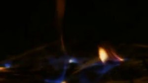 Социальный видеоролик Департамента лесного комплекса Кемеровской области