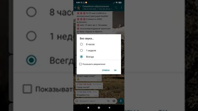 Как отключить загрузку медиа и звук в чате Whatsapp смотреть онлайн