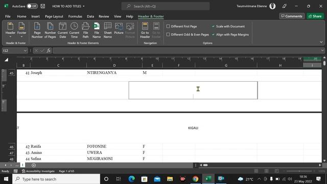 HOW TO ADD TITLES, HEADER & FOOTER TO EVERY PAGE OF EXCEL SHEET WHEN PRINTING смотреть онлайн
