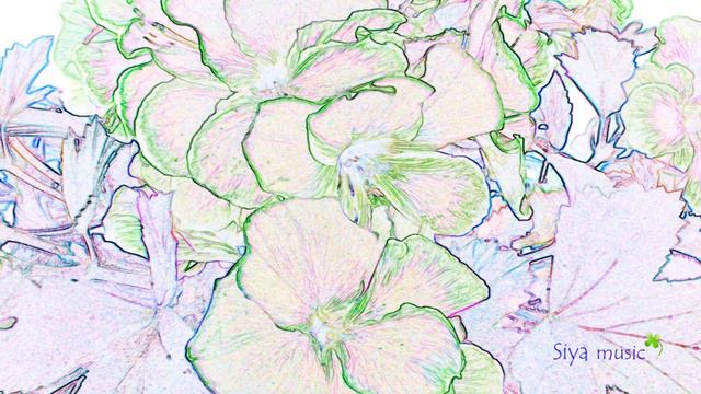 Flowers Instrumental💗Thinking Of You🌺Siya Music🍀