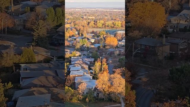 Популяризация Болгарии в Канаде. Уникальный опыт - "Краткий курс болгарской жизни "! смотреть онлайн