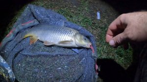 РЫБАЛКА НА МАКУШАТНИК НА р.ПРОТОКА п.АЧУЕВО СЛАВЯНСКОГО РАЙОНА