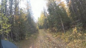 ОХОТА НА РЯБЧИКА С ТОЗ-34 28 КАЛИБРА