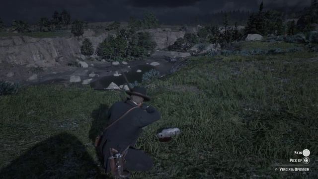 Chipmunk, Opossum, Badger, Skunk & Raccoon Location for Perfect Pelt/Carcass - Red Dead Redemption смотреть онлайн